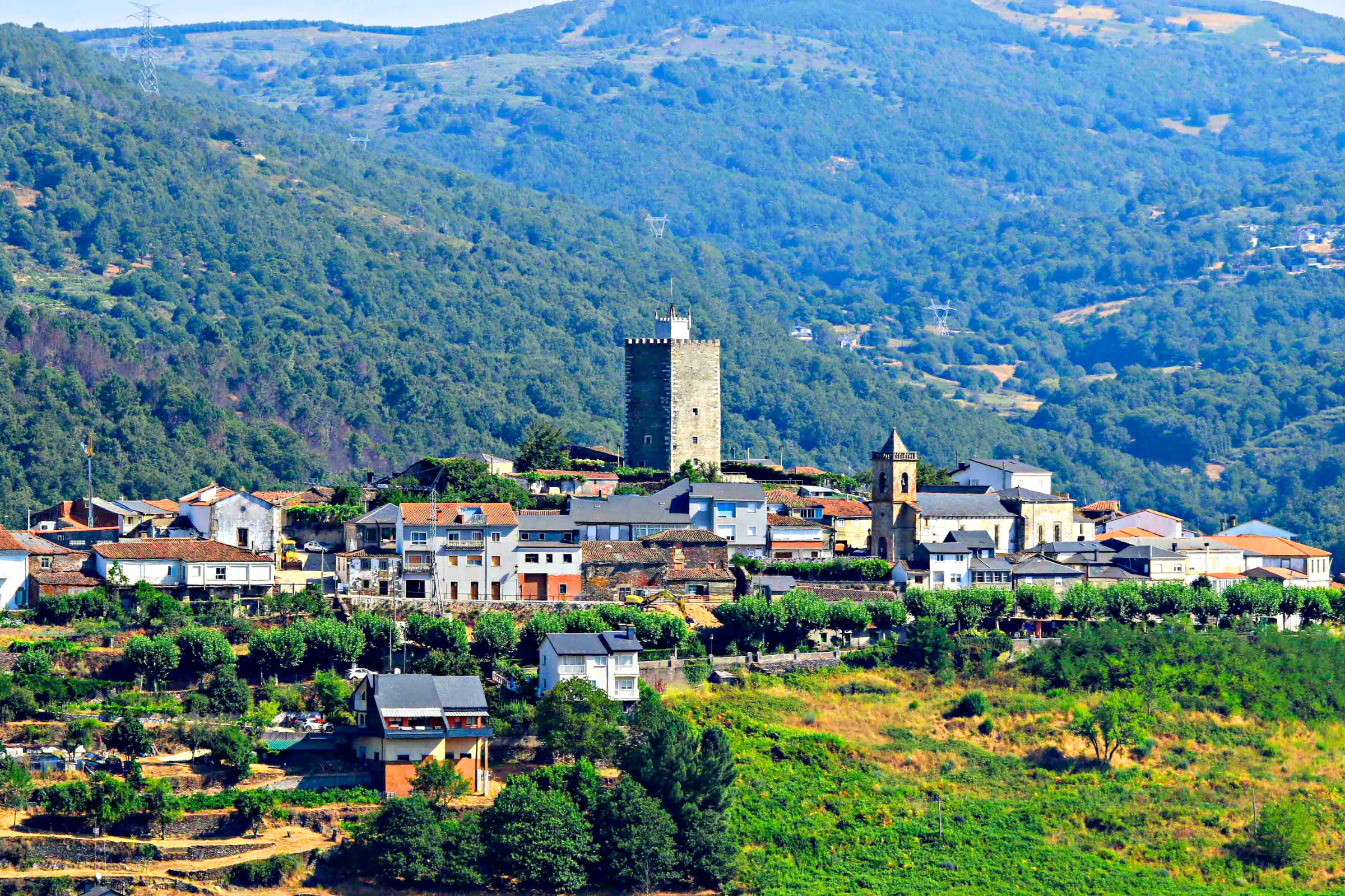 15_Viana[1].webp